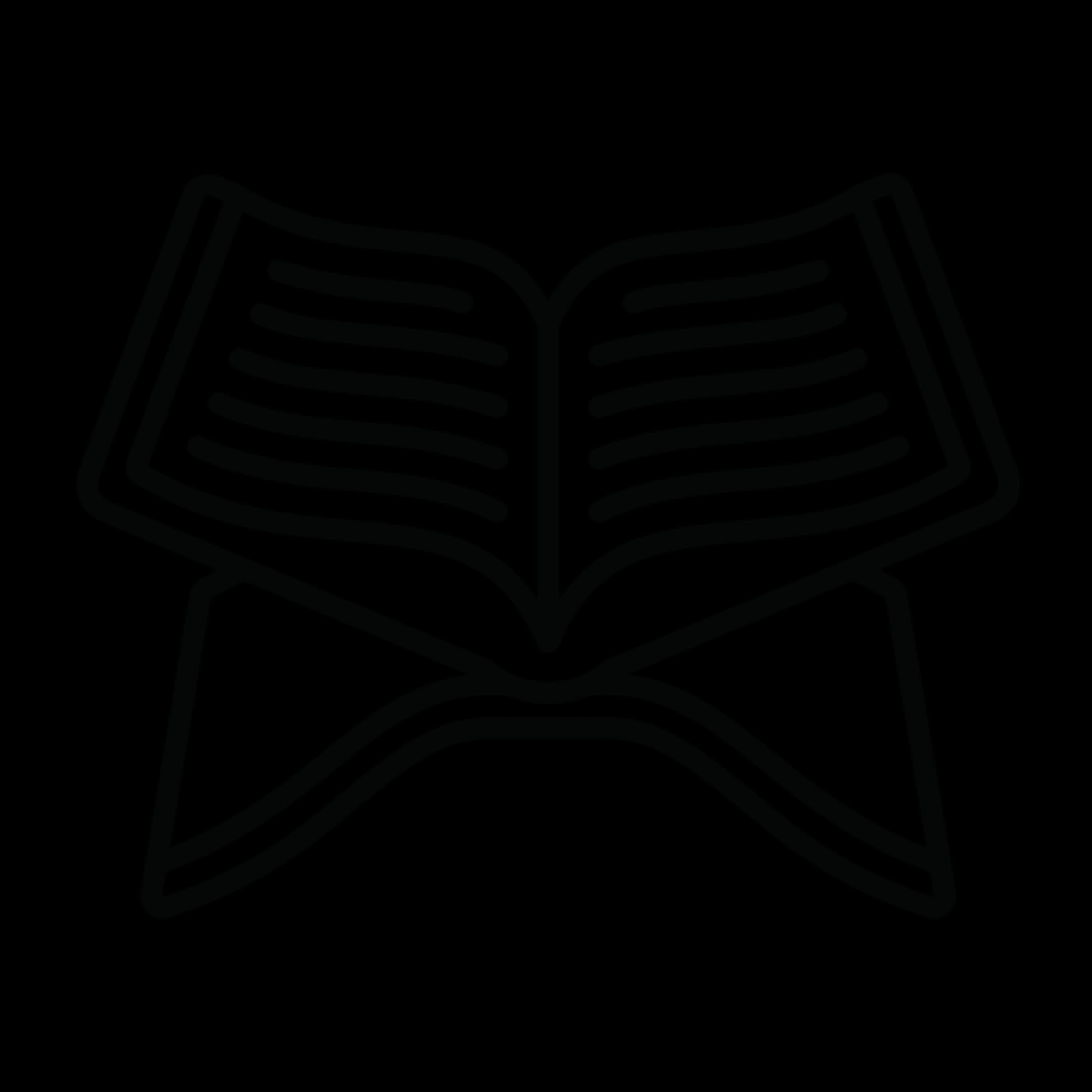 Quran Translation